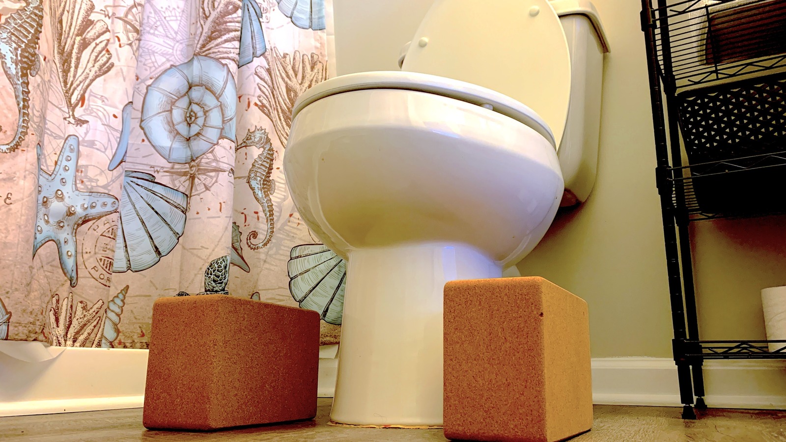 We Tried The Internet's DIY Squatty Potty To Poop Instantly. Here's How It Went - Health Digest